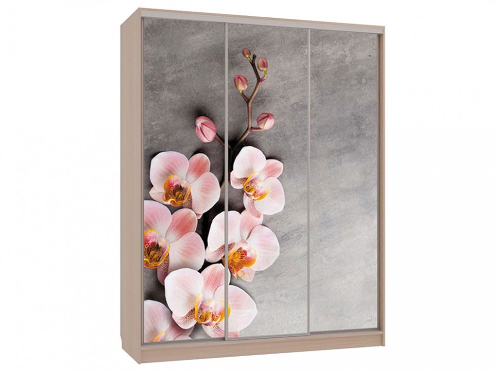 Шкаф-купе Бассо 7 Цветы 2