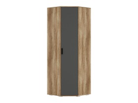 Распашной шкаф Вегас