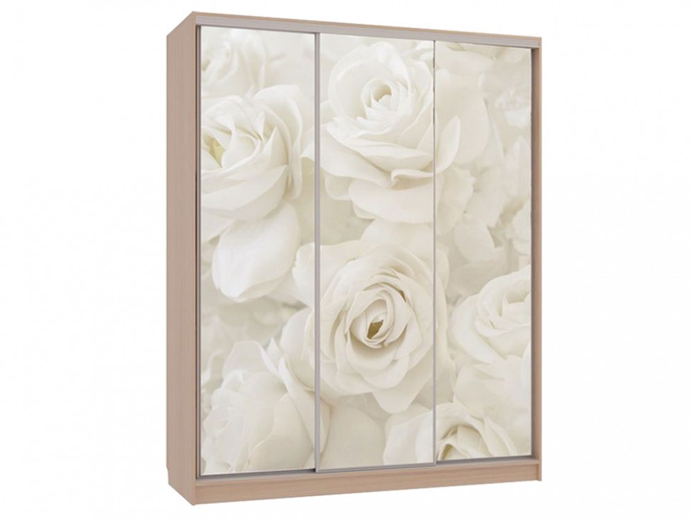 Шкаф-купе Бассо 7-600 розы