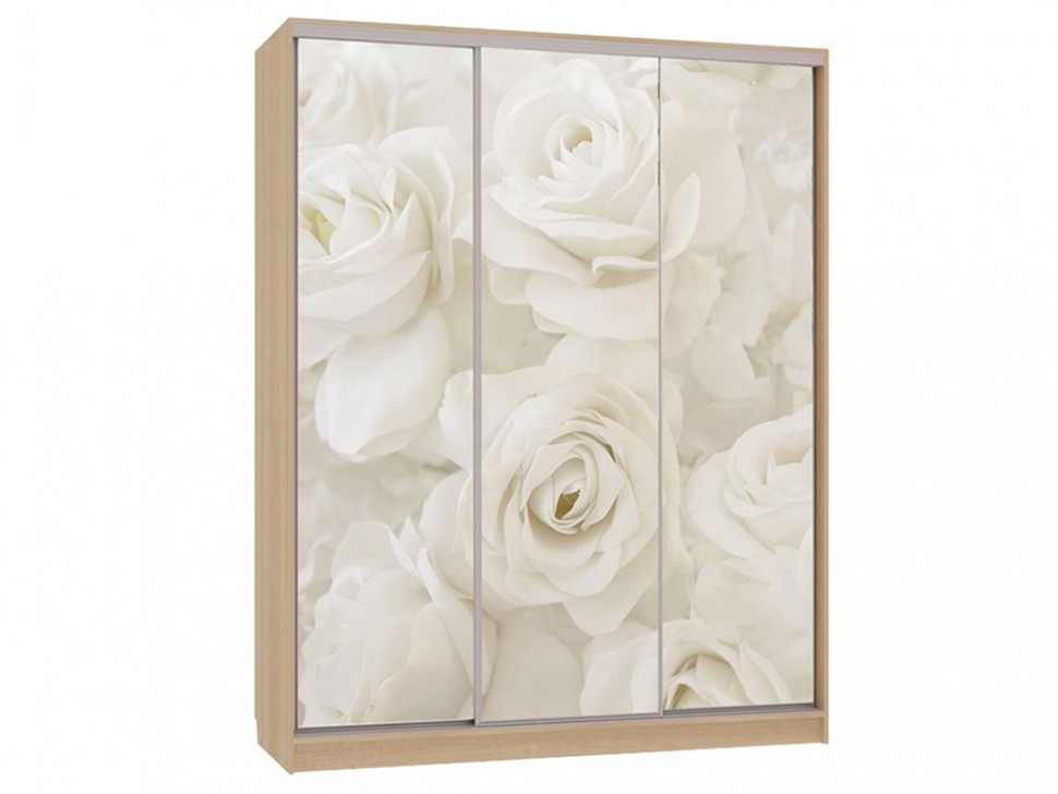 Шкаф-купе Бассо 7-600 розы