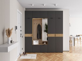 Прихожая Роби