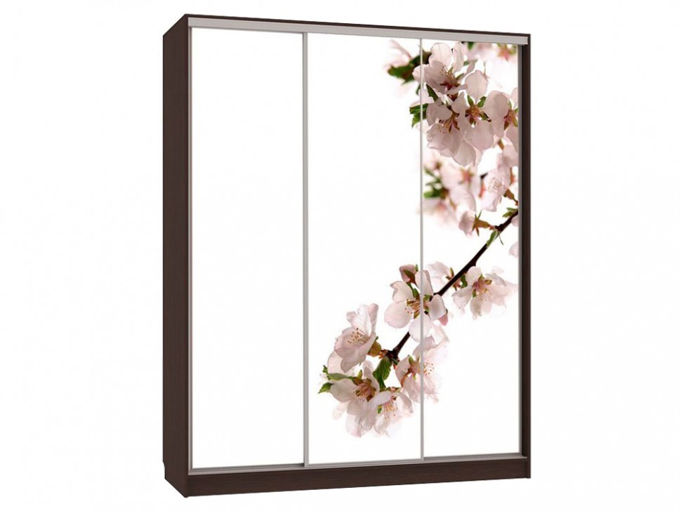 Шкаф-купе Бассо 7 Яблоня