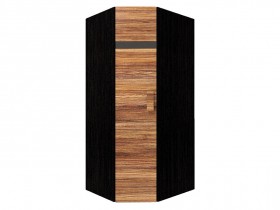 Распашной шкаф Шкаф угловой Hyper 1