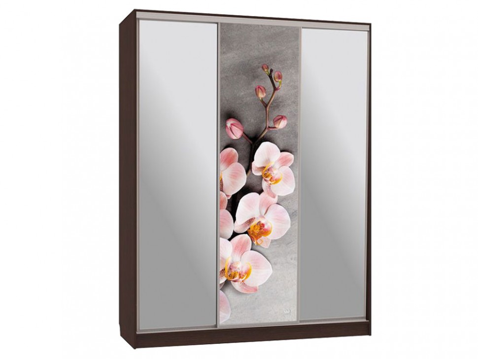 Шкаф-купе Бассо 9 Цветы