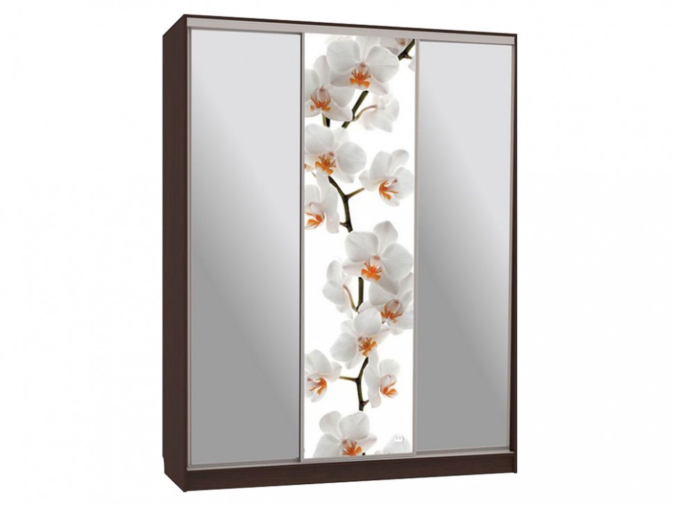 Шкаф-купе Бассо 9-600 83