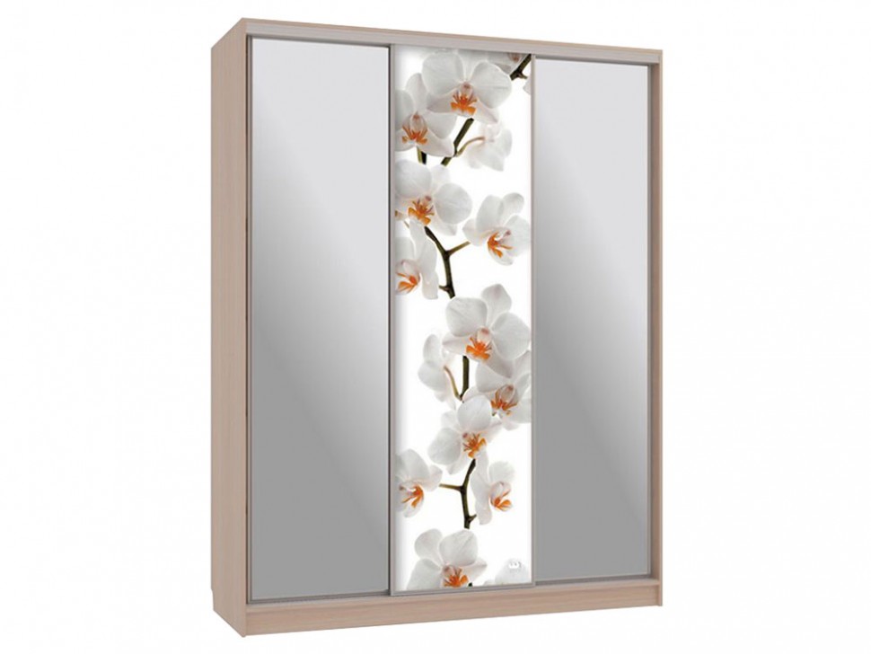 Шкаф-купе Бассо 9-600 83