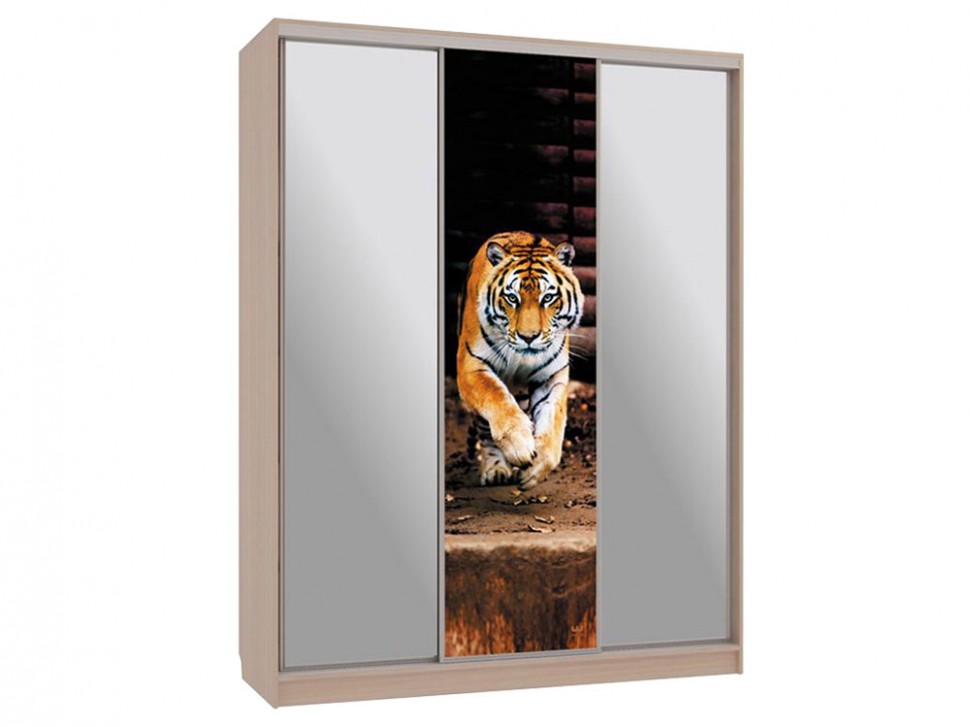 Шкаф-купе Бассо 9 Тигр