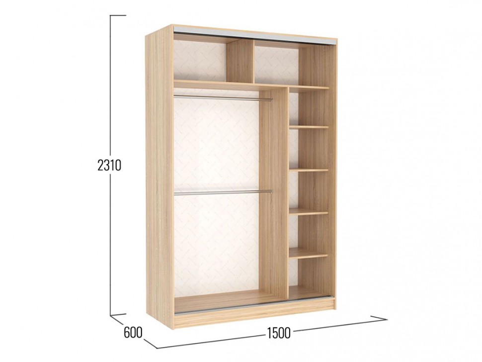 Шкаф-купе Колорадо 1 Птицы