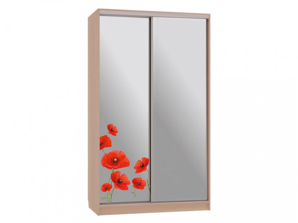 Шкаф-купе Колорадо 4 Маки