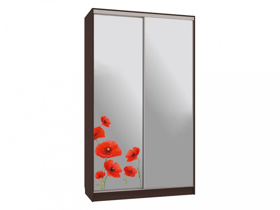 Шкаф-купе Колорадо 4 Маки