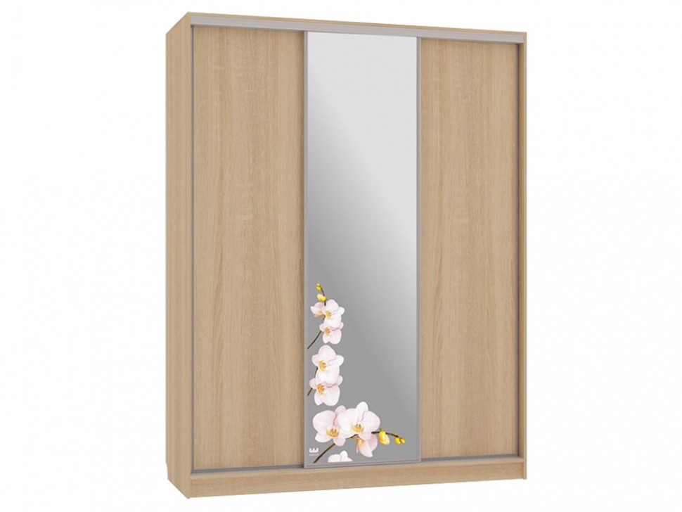 Шкаф-купе Бассо 1 Орхидеи