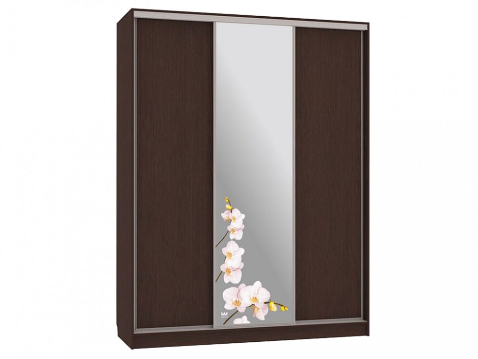 Шкаф-купе Бассо 1 Орхидеи