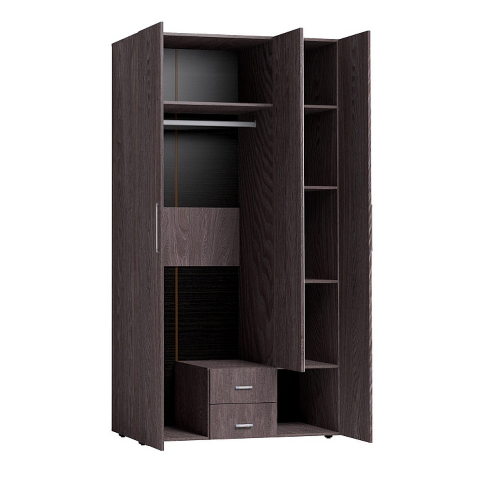 Шкаф распашной Монако 2