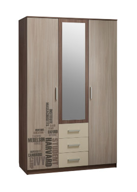 Шкаф распашной Колледж Шкаф 3-створчатый