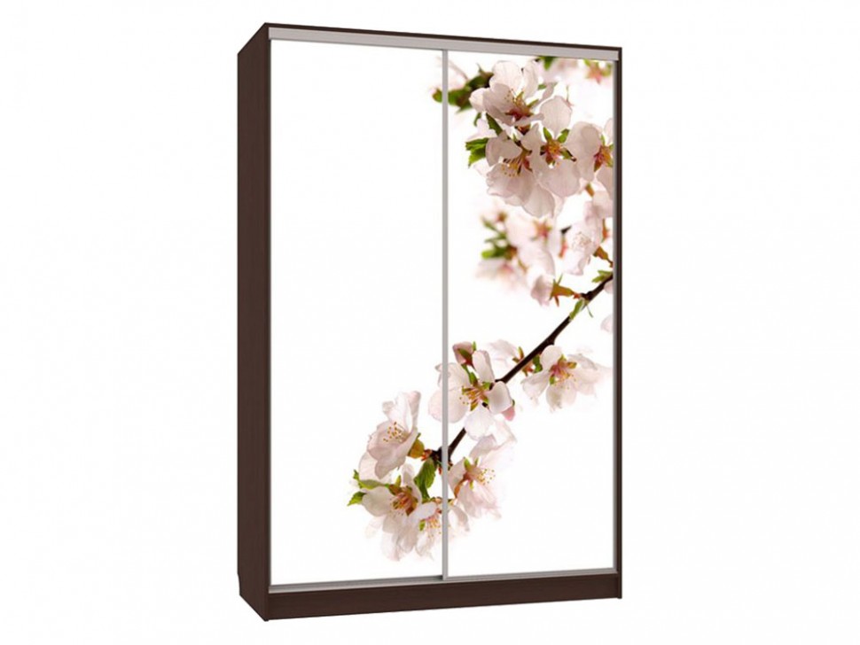 Шкаф-купе Колорадо 7 Яблоня