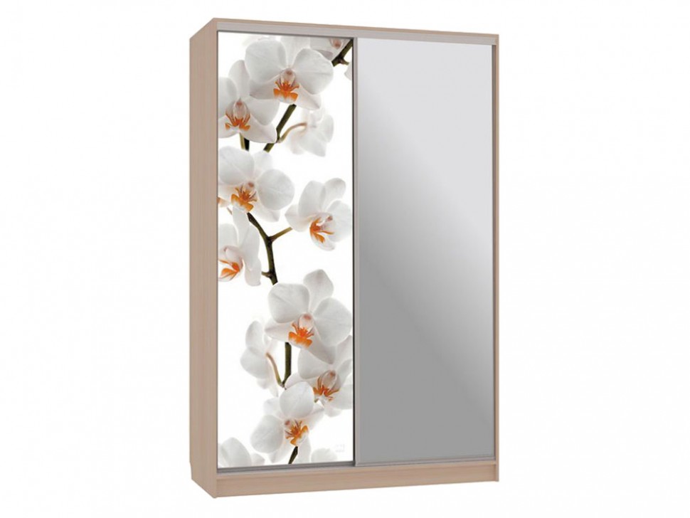 Шкаф-купе Колорадо 9 Цветы 2