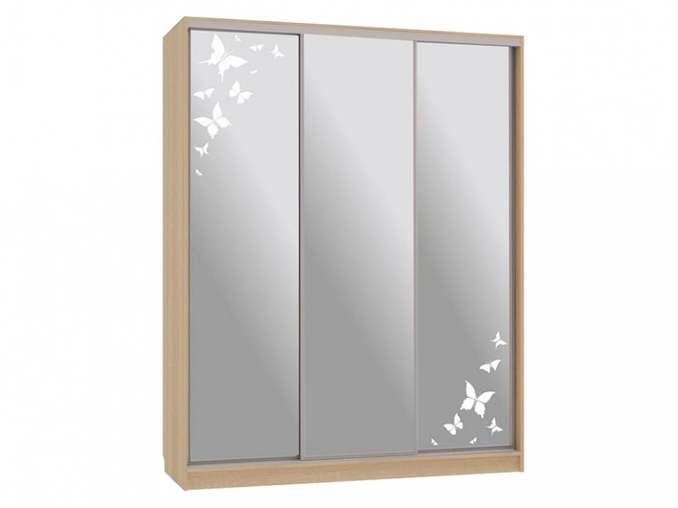 Шкаф-купе Бассо 4 Бабочки