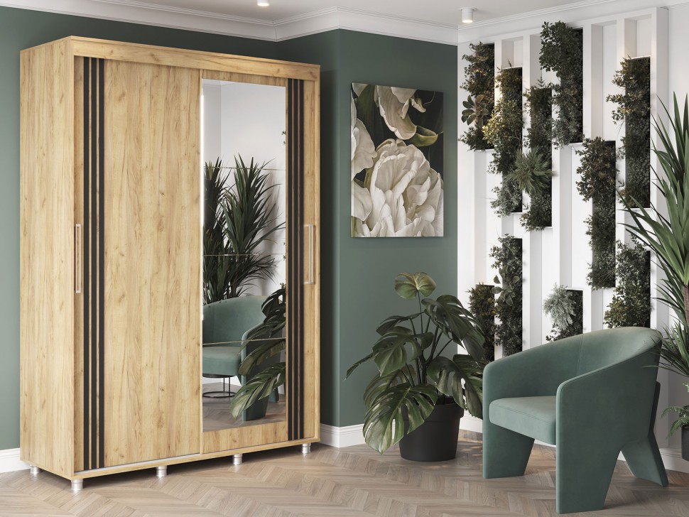 Шкаф-купе Форест