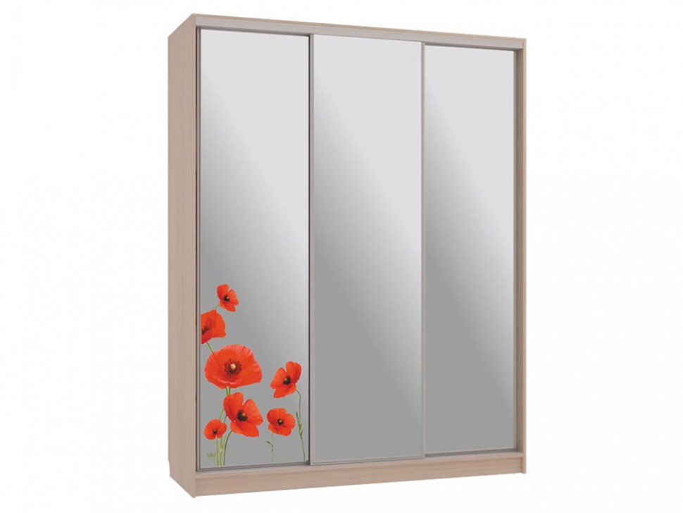 Шкаф-купе Бассо 4 Маки