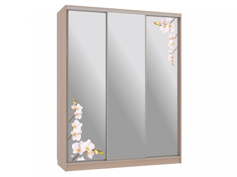 Шкаф-купе Бассо 4 Орхидеи