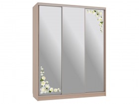 Шкаф-купе Бассо 4 Розы